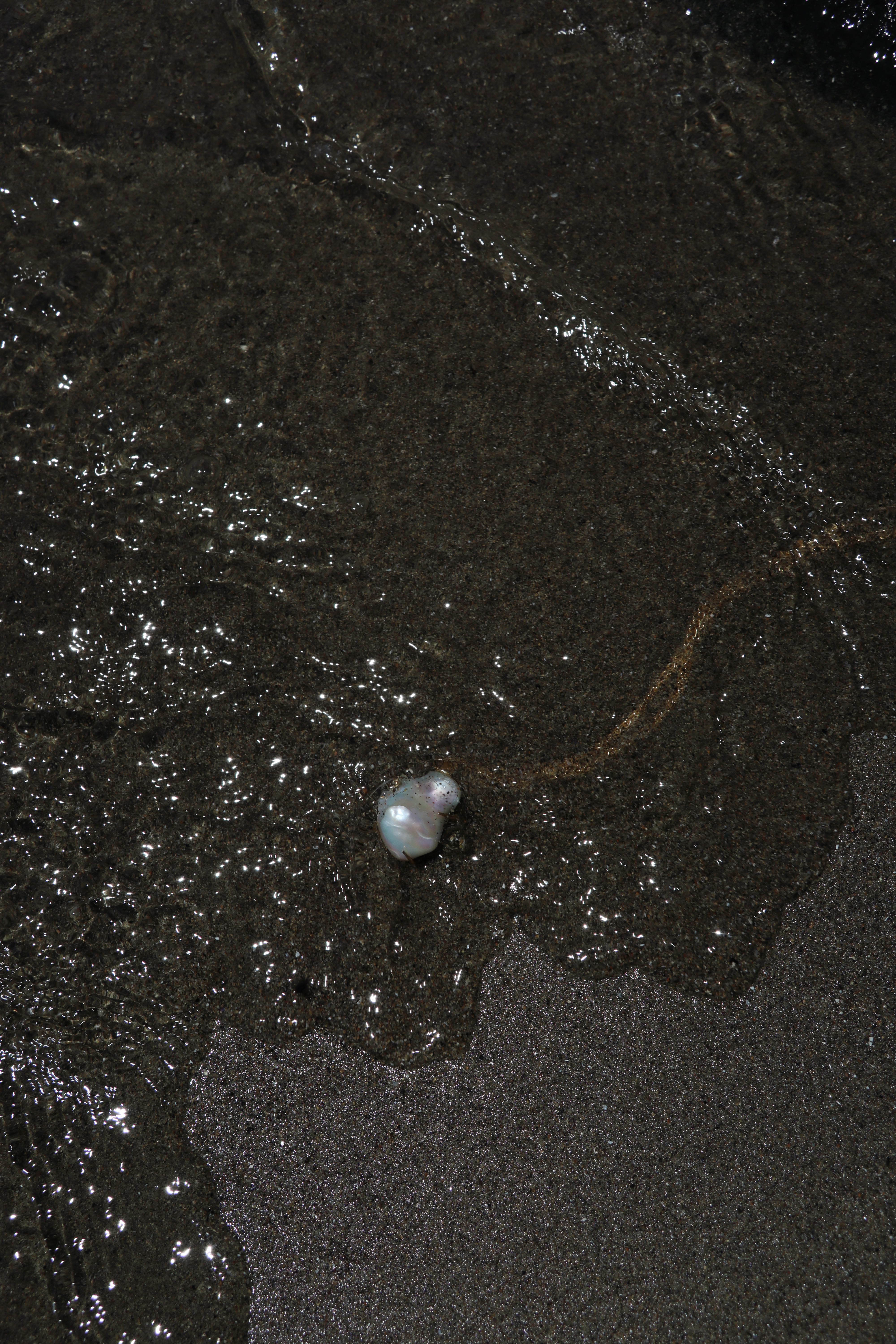 Collana Clorinde