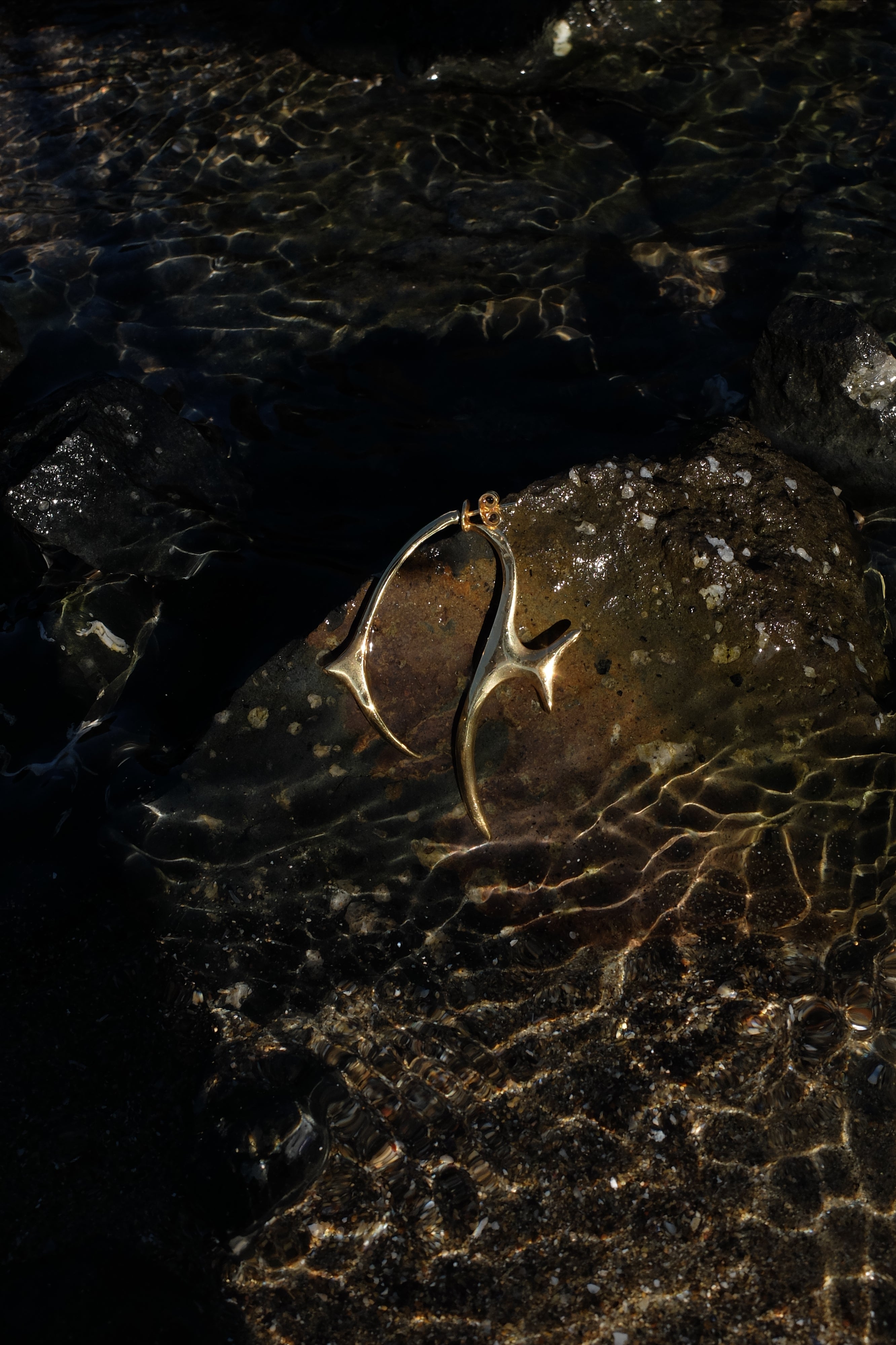 Orecchini Poisson