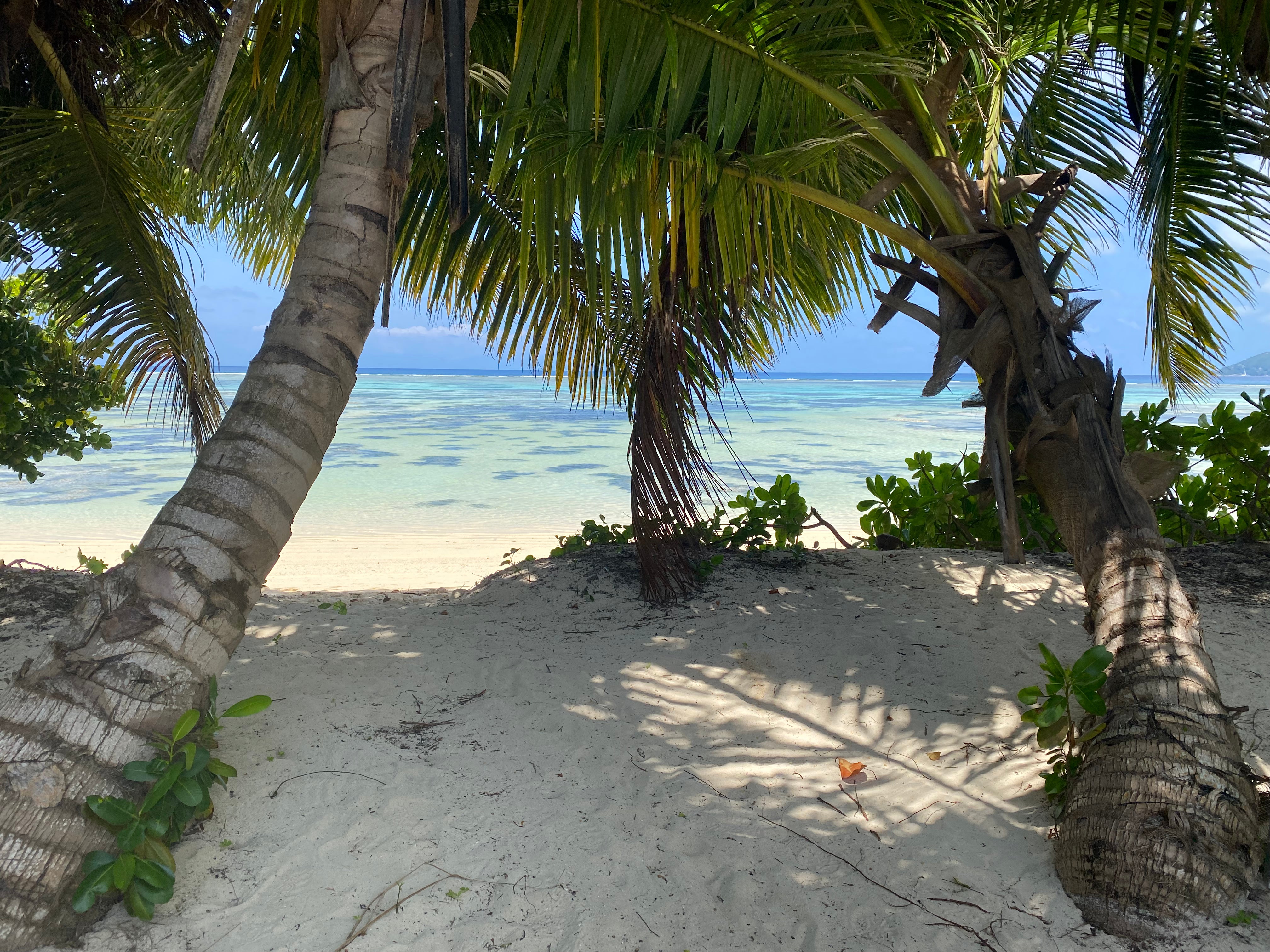 Collana Seychelles